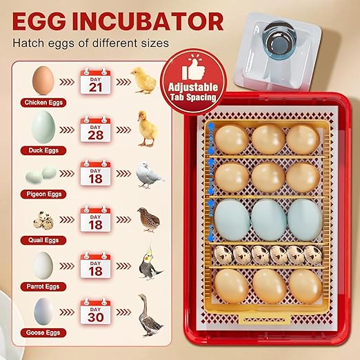 Incubators for Hatching Eggs 15-35 Eggs Incubator with Automatic Egg Turning and ℉Temperature Display LED Candler Poultry Incubator for Hatching Chicken Duck and Quail Incubator（Red）