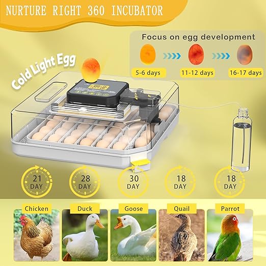 Incubators for Hatching Eggs 48 Egg Incubator with Automatic Turning and Humidity Control for Chicken Duck, Egg Candler for Chicken Eggs Goose Incubator Duck Quail Chick for Hatching Poultry (Grey)
