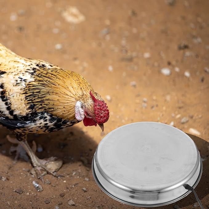 Heated Poultry Water Heater Base Safe Automatic Thawing for Chicken Drinkers Use Compatible Any Water Bowl Bucket Prevents Freezing Cold Temperatures