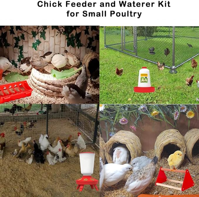 5pcs Chick Feeder and Waterer Kit,Top Fill 1kg Chick Feeder and 1L Chick Waterer,Baby Chicken Supplies with Chicks Perch,for Coop and Brooder for Small Poultry Ducks Quail