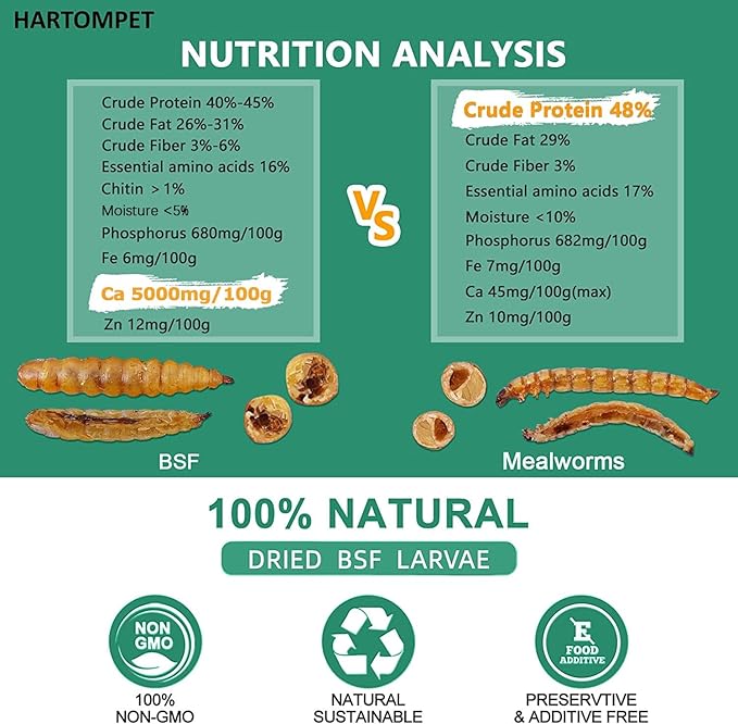 HARTOMPET Better Than Dried Mealworms for Chickens 1 lbs - 85X Calcium Than MealWorms - Non-GMO Chicken Feed Additive & Molting Supplement - Black Soldier fly Larvae Treats for Hens, Ducks, Wild Birds