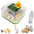4th Gen – 12 Egg Fully Automatic Incubator, 2026 Upgraded Design, Intelligent Sensor-Based Humidity & Temp Control, Custom Hatch Days, Adjustable Auto Turnn with Auto-Stop, 360° View, Alarm, Candler