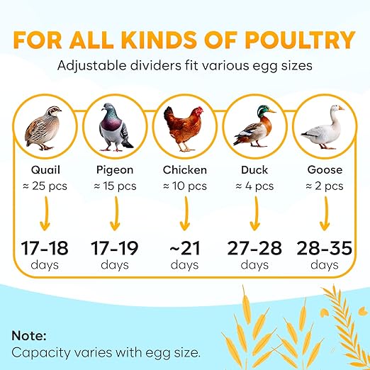 M12 Incubators for Hatching Eggs - Egg Incubator with Automatic Turner and Humidity Control - 12/24 Eggs - Incubadora de Huevos de Gallina - Easy to Use and Clean - 360° View - Blue