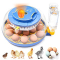 Incubators for Hatching Eggs - 18 Egg Capacity, Egg Incubator with Automatic Egg Turning and Temperature Control, Incubator for Chicken, Duck, Goose, Quail, 360° Full View, Home Farm Classroom Use