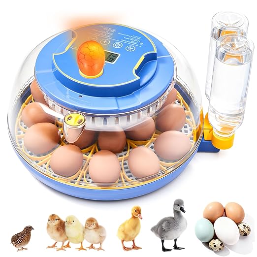 Incubators for Hatching Eggs - 18 Egg Capacity, Egg Incubator with Automatic Egg Turning and Temperature Control, Incubator for Chicken, Duck, Goose, Quail, 360° Full View, Home Farm Classroom Use