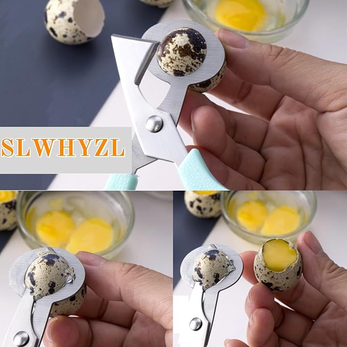 9 Pack Quail Egg Scissors - Stainless Steel Quail Scissors 9 Color for Quail Eggs
