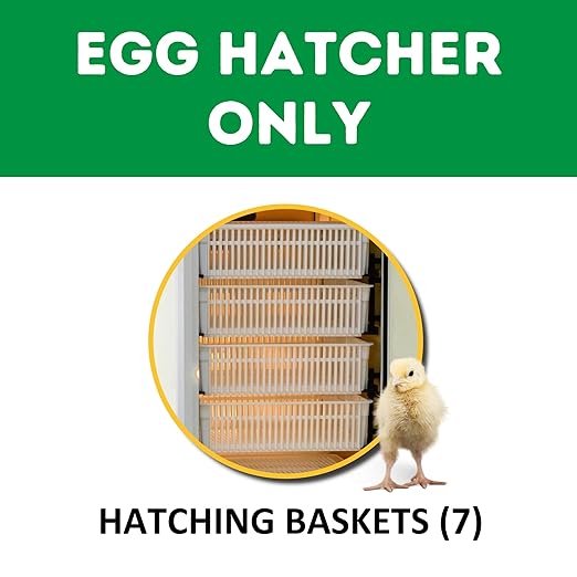 Incubators for Hatching Eggs – HB500H Egg Incubator Hatcher, Automatic & Self-Regulated Temperature & Humidity, Chicken Egg Incubator, Professional Cabinet Poultry Incubator by Cimuka