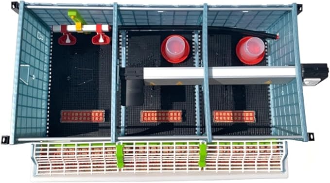 Hatching Time 9.5" Chick Brooders – Stackable or 2-Section Options with Automatic Heating, Modular Design, Easy to Clean, Ideal for Quail, Pheasant, and Baby Chicks (5 Layer)