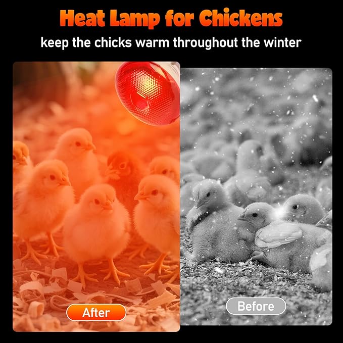 LUCKY HERP Heat Lamp Bulbs for Chickens, 150W Infrared Heat Lamp 1 Pack, Red Heat Lamp Bulbs for Reptiles, Pets, Brooder Coop and Poultry