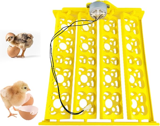 Automatic Egg Incubator Tray Automatic Turning Motor Egg Turner Turning Tray Accessory Egg Hatcher Egg Incubation Tray for Chicken Quail, DC12V
