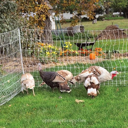 Premier 1 Portable PoultryNet® Electric Fence | Quick & Simple to Move | White/Black Fence for Chickens, Ducks, Geese – 48"H x 164'L | Best in Class 2" x 3" Spacings