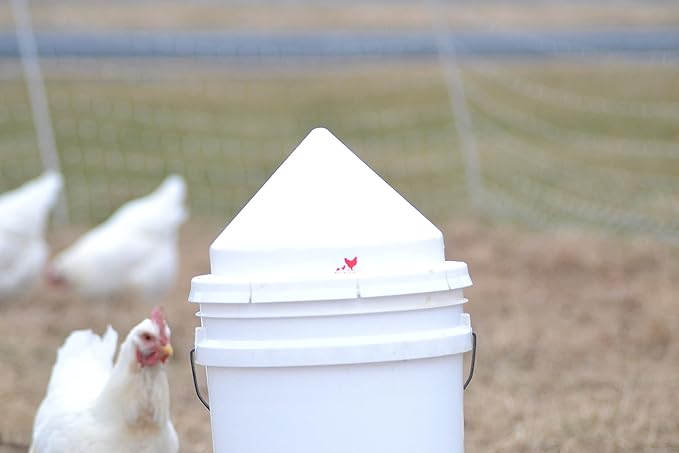 RentACoop Anti-Roost Cone for 5 Gallon Round Chicken Bucket Waterers and 20lb Feeders