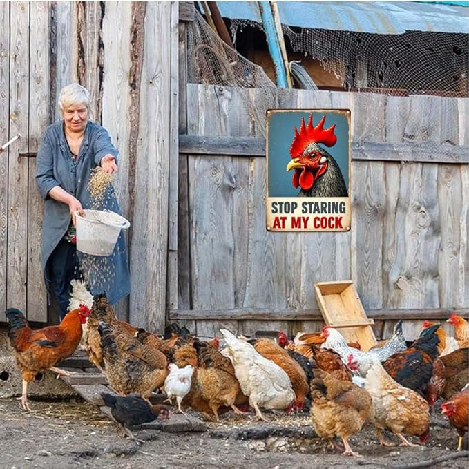 Funny Chicken Gifts Chicken Cluck Around and Find Out Tin Sign for Home Farm Chicken Coop Farmhouse Kitchen Garden Decor 8 X 12 Inch