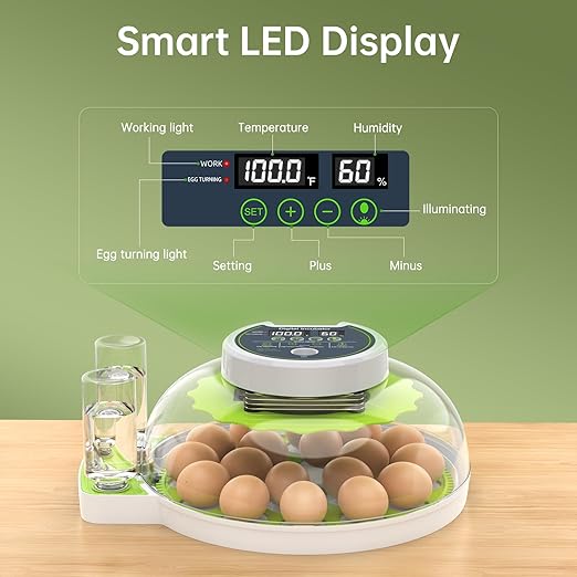 Egg Incubator with Automatic Egg Turning and Humidity Control, 18 Eggs Incubators for Hatching Eggs Chicken Quail Ducks Goose Parrot for Home Lab Farm Classroom