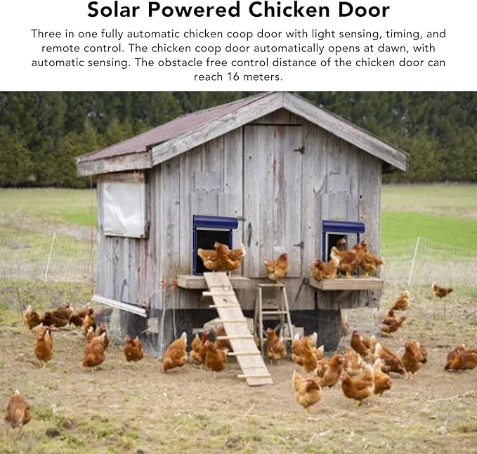 Automatic Solar Powered Chicken Coop Door with Light Sensing and Timer, Metal Iron Auto Chicken House Protection Door for Duck Goose, Remote Control, with LED Clear Dosplay (Blue)