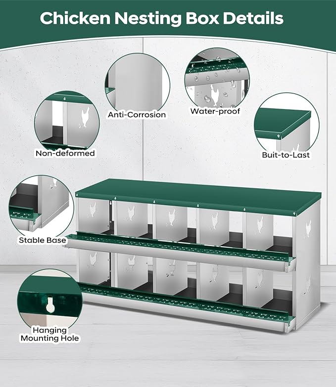 Chicken Nesting Box for Laying Eggs, 6 Compartment Metal Nesting Box,Wall Mount Chicken Nesting Boxes,Easy Egg Collection,Laying Boxes for Chickens Coop to Protect Eggs (Green, 10 Compartment)