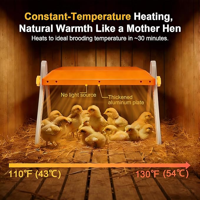 Chicken Coop Heater, Briidea 80W Chicken Heater with 110–130℉ Constant Heat, Energy-Efficient, Adjustable Height & Angle, 10 PET Cleaning Film, Mother-Hen-Like Comfort, 10" x 10" for 15 Small Poultry