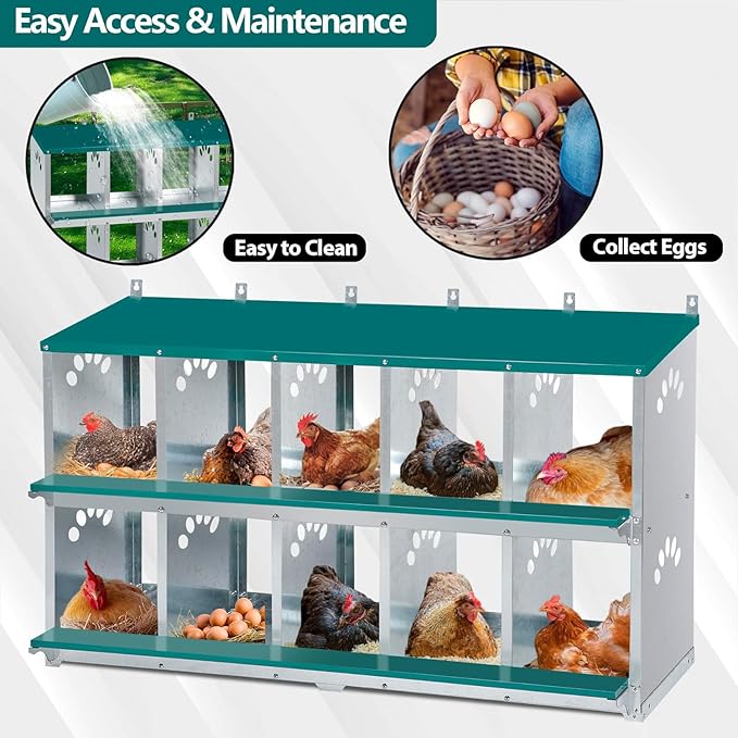 Chicken Nesting Box, 10 Compartment Nesting Box, 10 Room Metal Nesting Boxes for Chicken, Green