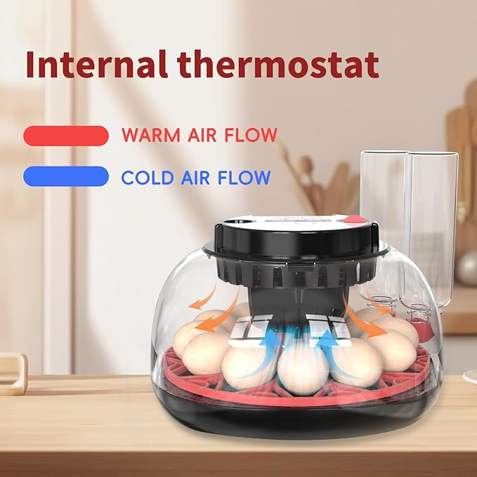 NWH 12 Egg Incubator with Temperature and Humidity Control, Adjustable Turning Time, Automatic Dual Water Bottle Refill, Candling Light, Air Vent, Incubators for Hatching Eggs, Chicken, Ducks, Goose