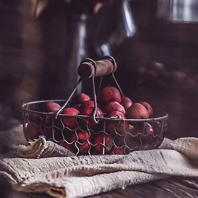 Egg Basket Egg Collecting Basket with Wood Handle Wire Egg Basket Rustic Vintage Primitives for Kitchen Living Room Rustic Egg Collecting Basket with Wood Handle Wire Egg Basket Chicken