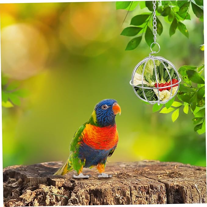 GALPADA 6pcs Poultry Feeder Chicken Treat Hanging Fruit Vegetable Feeder for Chickens Hens Birds Parrots