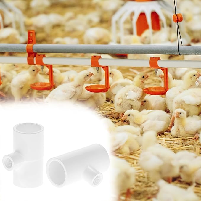QWORK Chicken Waterer PVC Tee Fittings, 20 Pack PVC Pipe Fitting, Fully Automatic for Threaded Poultry Drinker, White