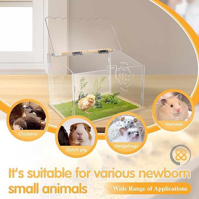Spacious Chicken Brooder Boxs, Brooder Box for Chicks, Acrylic Chicken Brooder, Chickens Brooder Kit for Ruffed Grouse, Hedgehogs, Hamsters, Reptiles (Transparent)