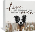Live like Someone Left the Gate Open Border Collie Wooden Signs,Farm Cottagecore Animal Office Kitchen Bedroom Decor,Rustic Farmhouse Home Decor Signs,Border Collie Gifts for Women