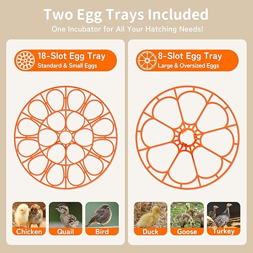 18 Egg Incubator, 2 Egg Trays, Automatic Egg Turning with Auto Stop, Humidity Control, Adjustable Incubation Day & Period, Auto Water Refill, for Chicken, Quail, Duck & Turkey Eggs, APDOE HatchPro 18