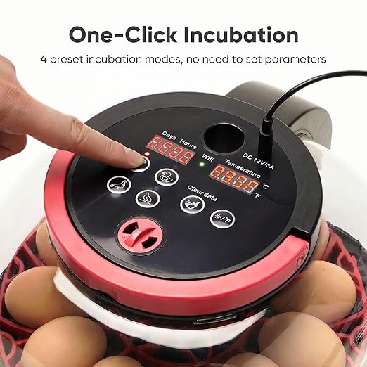Incubators for Hatching Eggs, 12 Egg Smart Incubator with 1080P Camera & App Control, One-Click Incubation for Chicken Quail Duck, Auto Egg Turner, External Water Refill, Egg Candler