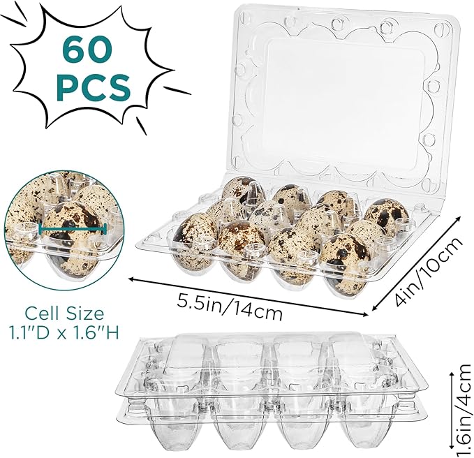 YOUEON 60 Pcs Clear Quail Egg Cartons, 12 Count Plastic Egg Trays, Small Egg Storage Holders with Lids, Stackable Bulk Egg Boxes for Quail, Pigeon, Pheasant, Display, Refrigerator Storage
