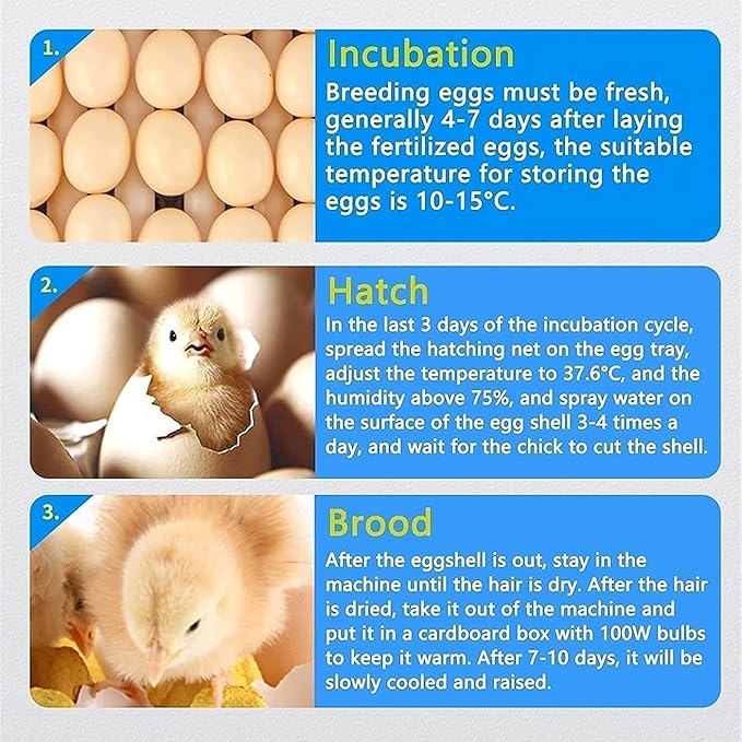 30 Eggs Incubator Automatic Turning and Digital LED Display Temperature Control Hatching Poultry for Chickens Ducks Goose Birds