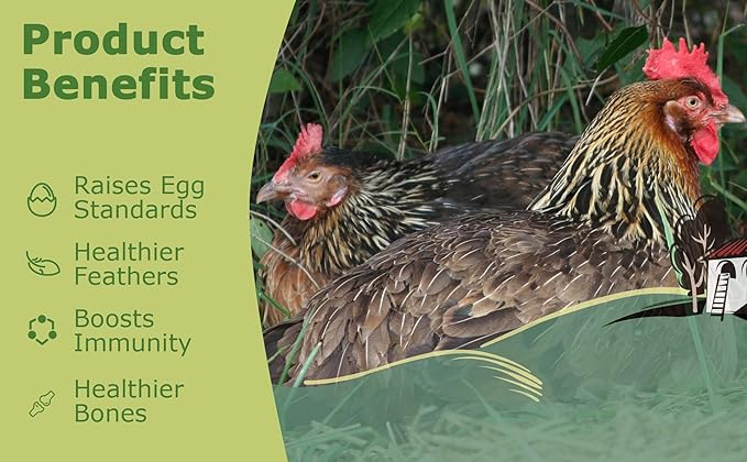 10LB Dried Black Soldier Fly Larvae, Non-GMO & Nutrient-Packed Chicken Feed, Strong Egg Production and Health, Rich in Calcium for Healthy Hens & Ducks, 80X Calcium vs Mealworms