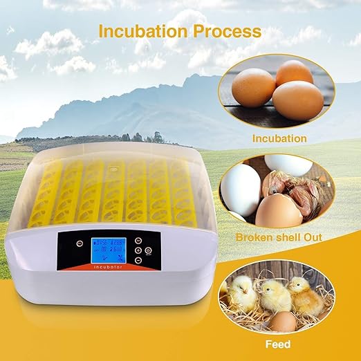 Egg Incubator with Auto Turner & Humidity Control – High Hatch Rate Poultry Hatcher for Chicken Duck Quail, 360° View & Stable Temp System, Ideal for Farm & Home Breeding (55 Egg)