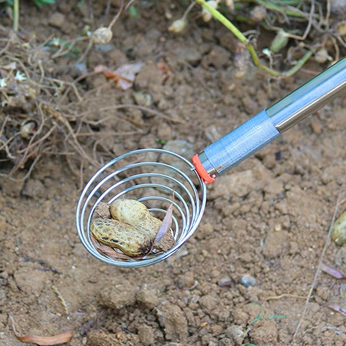 Egg Scooper Tool for Chicken coop,107cm / 42.13 inch Egg Grabber for Chicken Eggs,Multifunctional Peanut, Nut and Potato Grabber。