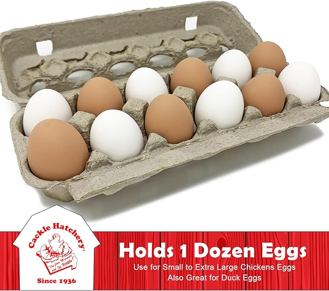 Cackle Hatchery Vented Paper Pulp Egg Cartons Holds 1 Dozen Chicken Eggs (72 Pack)
