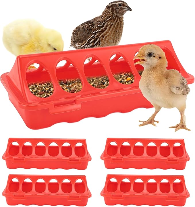 5pcs Flip Top Poultry Feeders, Spill Proof Chick Feeder Trough Quail Feeder No Waste No Mess Plastic Pigegon Feeder Small Poultry Coop Feeder for Chick,Bantam,Duckling,Parrot,Other Birds