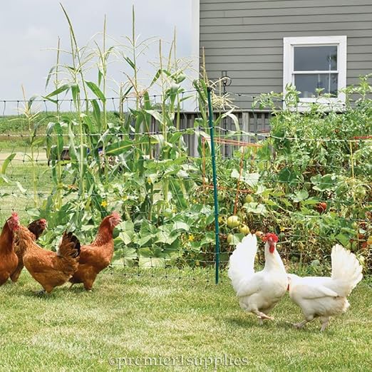 Premier 1 PoultryNet® Plus, 42"H x 100'L Electric Fence Starter Kit | Extra Line Posts to Reduce Sag | Includes: Solar Energizer, FiberTuff™ Support Posts and Tester | Green/Black