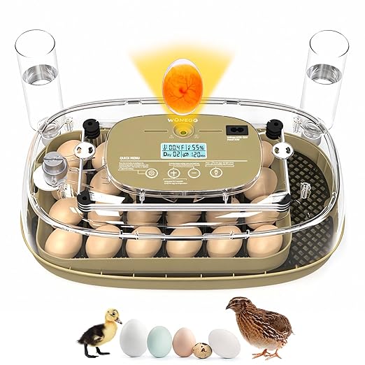 24 Incubators for Hatching Eggs, Egg Incubator with Humidity Control & Digital Temperature, Automatic Egg Turner, Hatch Day, Auto Water Refill, 360°Viewing for Chicken, Duck, Quail, Duck, Goose