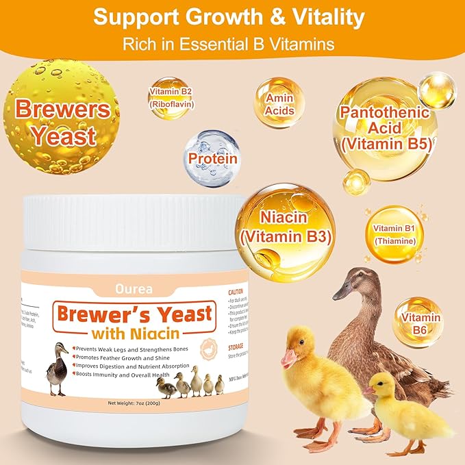 Ourea Brewer's Yeast with Niacin for Ducks, Supports Immunity Molt Recovery Severe Stress, Vitamins B Protein Amino Acids Supplement to Support Legs Bone Feather Health Growth Digestion for Duckling