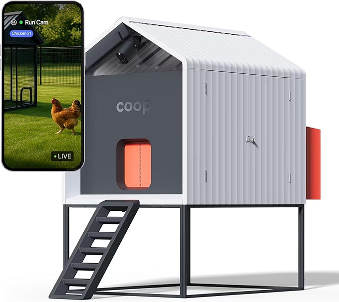 Smart Coop with Base – Weatherproof, Predator-Proof Chicken Coop with Dual Smart Cameras, Automatic Door, Solar Optional for 4-6 Chickens