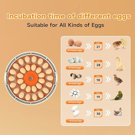 30 Egg Incubator with Automatic Egg Turning and Humidity Control/Display, Poultry Incubator with Water Refill, 360°Clear View, Air Vent, Candling Light, Hatching Chicken Quail Duck Goose Birds