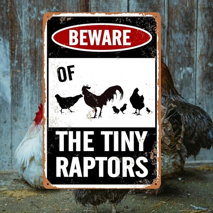 Beware Of Chicken Sign Chicken Signs For Coop Funny Outdoor Chicken Coop Signs Beware Of The Tiny Raptors Sign Chicken Coop Accessories Funny Warning Sign For Chickens Chicken Coop Decor 8x12 Inch
