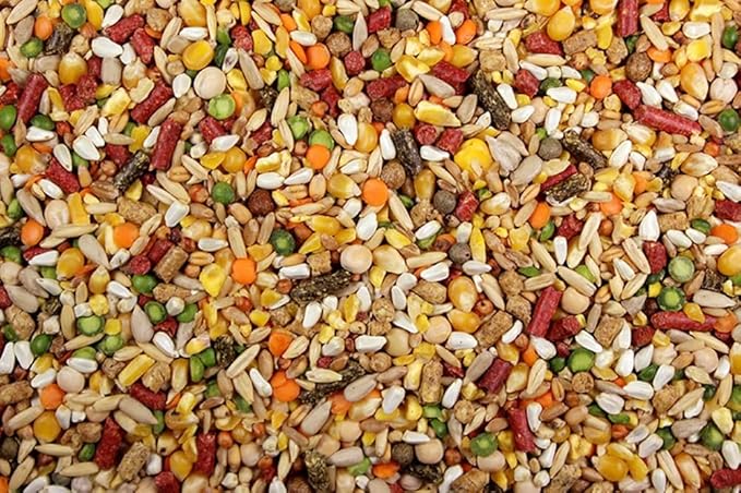 Chicken Feed, Whole Ingredient Chicken Treat, Wied Variety of Grains Poultry Feed (10 Pound (Pack of 1), High-Octain (High Protein) with Cracked Corn)