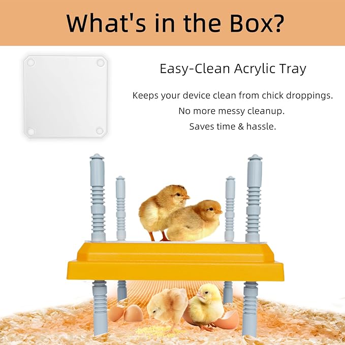 Brooder Heater for Chick Brooder Heating Plate with Easy Cleaning Plate Poulty Coop Heater Chicks Warmer 10 x 10 Inch for 15 Chicks Adjustable Height 15 Watts Chicken Duckling Quail