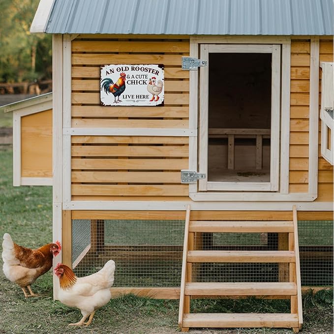 Funny Chicken Gifts for Women, An Old Rooster And A Cute Chick Live Here Aluminium Plate Signs, Humorous Chicken Decor for Farmhouse Coop Kitchen, Rustic Wall Art Decorations 8 X 12 Inch Metal Signs