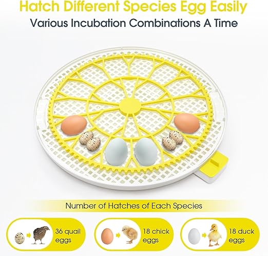 Sailnovo 18 Egg Incubator for Hatching Eggs with Automatic Egg Turning and Humidty Display, Temperature Control,360° Clear View, Egg Incubator for Hatching Chickens,Ideal for Farm,School and Lab