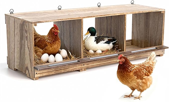 Wooden Chicken Nesting Boxes - 3 Compartment Poultry Nest Box, Lightweight, Front & Rear Ventilation, Easy to Clean & Install, Wall/Floor Mount for Laying Hens Ducks