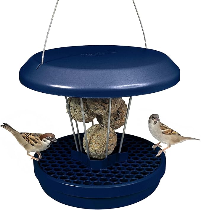 SWISSINNO Bird Feeders - No Mess Fat Ball/Suet Feeder for Outdoors Hanging - Smart Birds Lucerne Spill Proof Wild Cardinal Bird Feeder with Integrated Seed Catcher Tray - Indigo