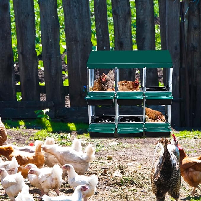 6-Compartment Roll-Away Metal Chicken Nesting Box – Durable Hen Laying Box with Protective Lid, Easy Egg Collection, Stand Without Bracket Legs for Coops, Green